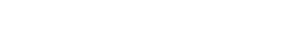 Gemini CLI